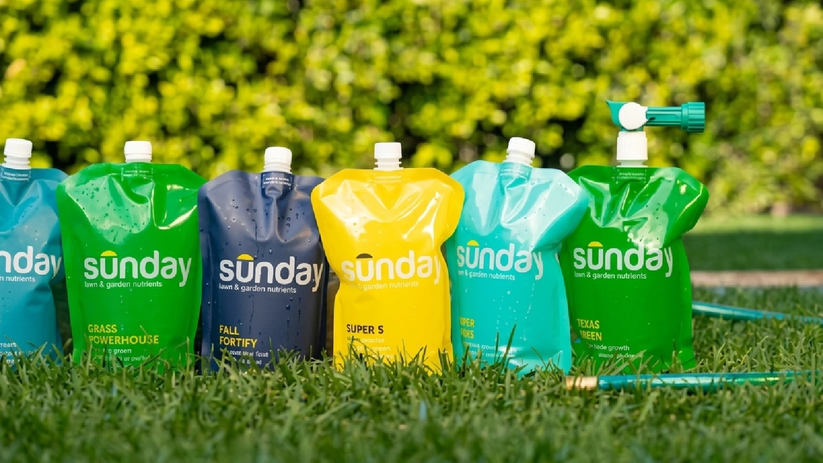 Sunday Lawn Care Review A Custom DIY Lawn Plan Built From Your Soil, With Mixed Results