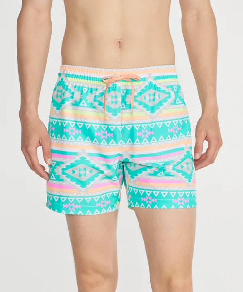 Chubbies Classic Shorts (5.5" inseam)