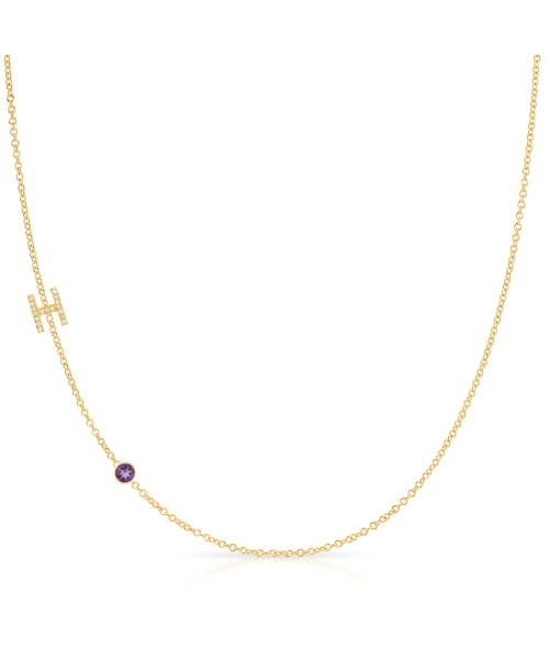 Maya Brenner Birthstone Charm Addition