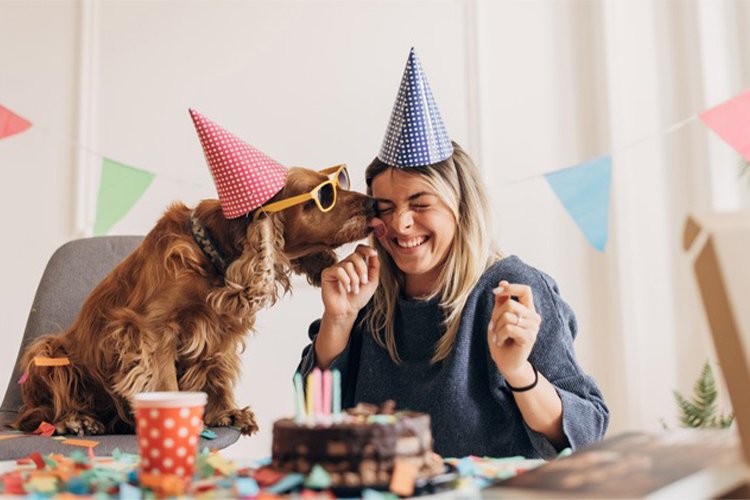 10 Ways to Celebrate Your Dog's Birthday