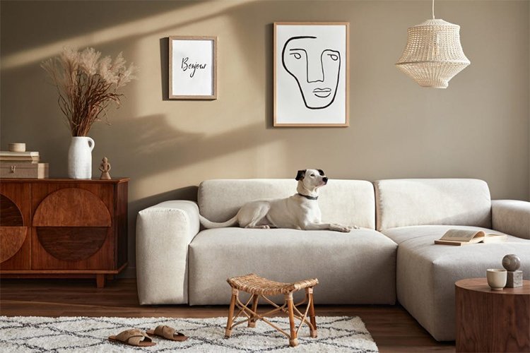 10 enchanting living room ideas for the living room