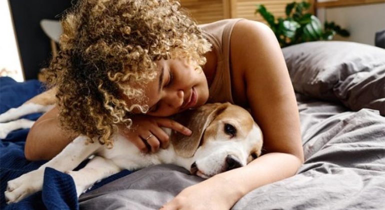 Here's how to know when it's time to put your dog to sleep