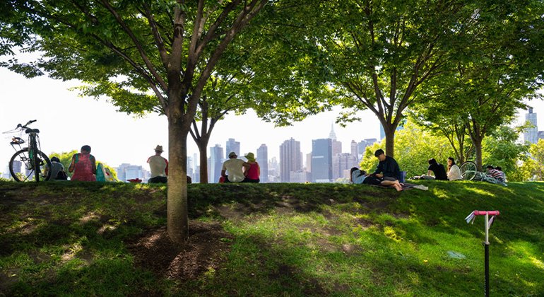 How do trees and green spaces improve our health?