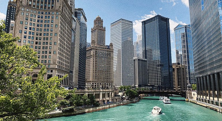 TOP 5 THINGS TO DO IN CHICAGO