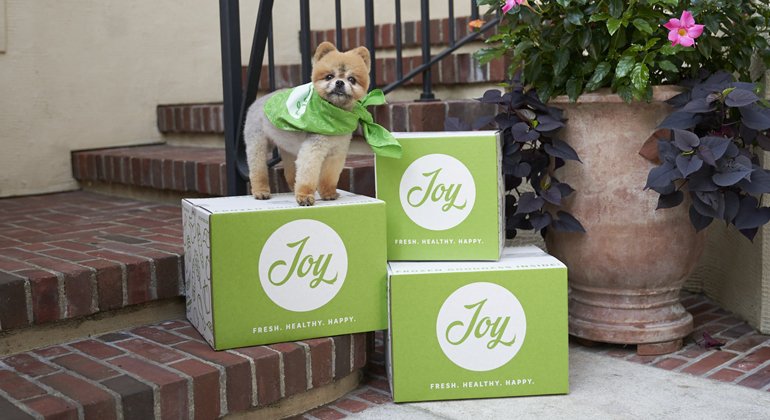 Get Joy & Co Featured Image