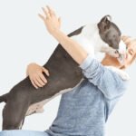Barkbox Featured Image
