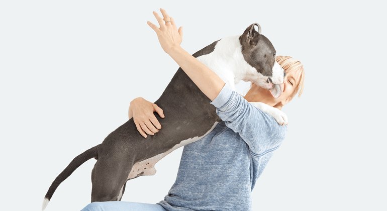 Barkbox Featured Image